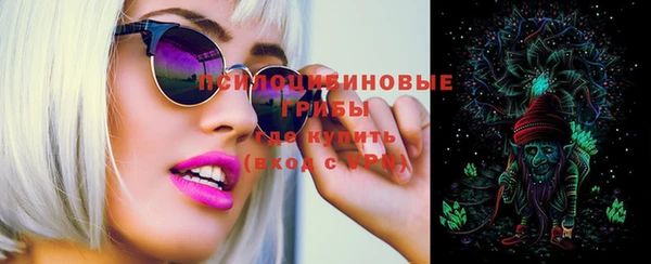 apvp Заводоуковск